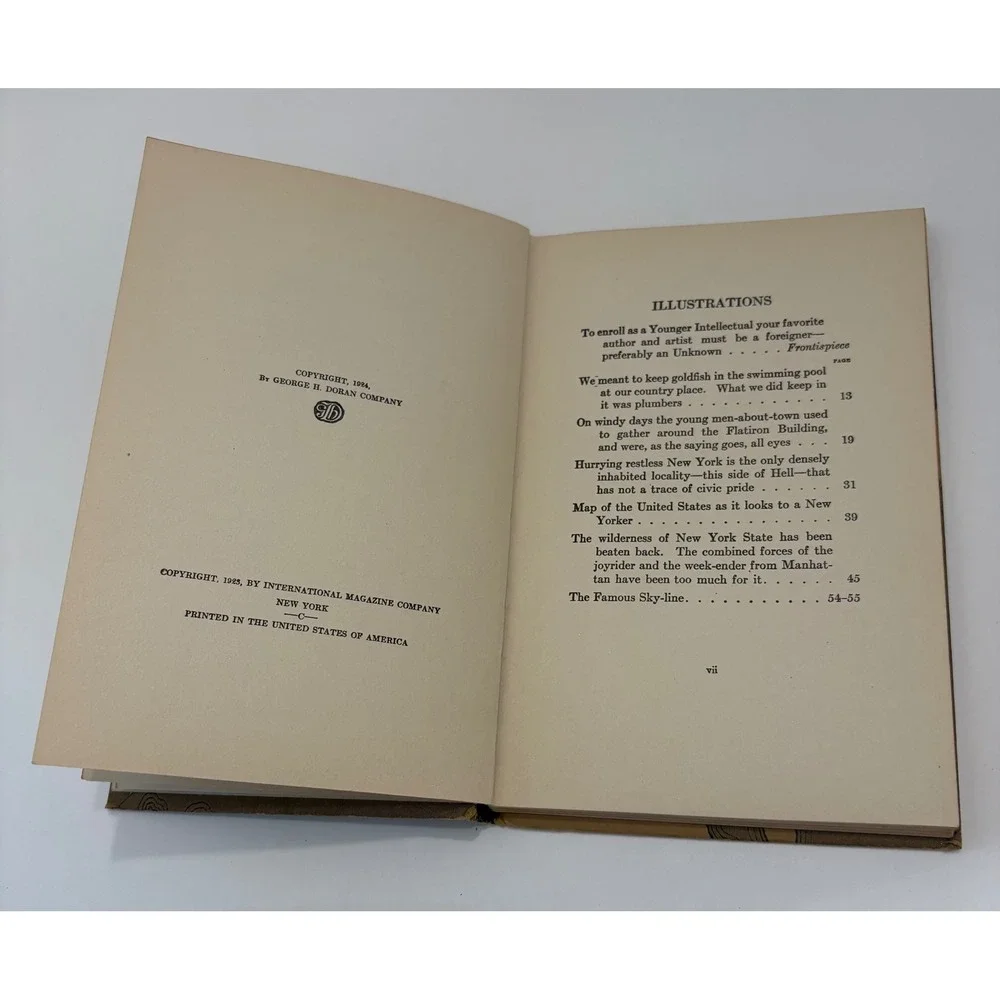 New York by Irvin S. Cobb America Guyed Books George H. Doran 1924 Hardcover